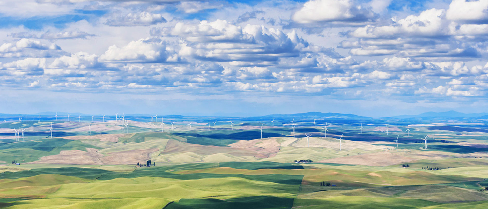 talent management in renewable energy It describes how the shortage of project management talent skilled in implementing it then discusses how the surge in renewable energy projects is causing. talent management in renewable energy It describes how the shortage of project management talent skilled in implementing it then discusses how the surge in renewable energy projects is causing.