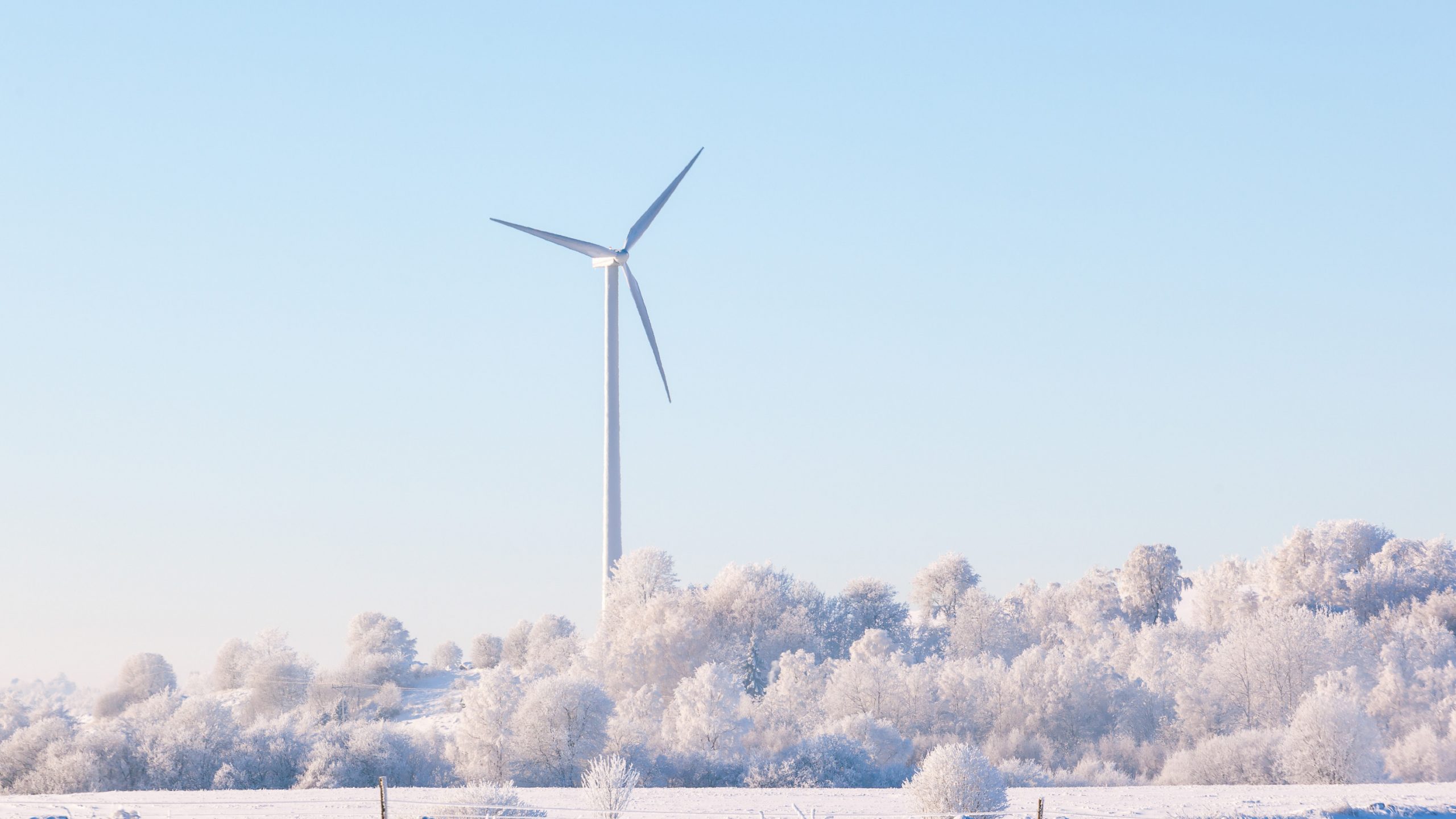 Renewable energy in 2021