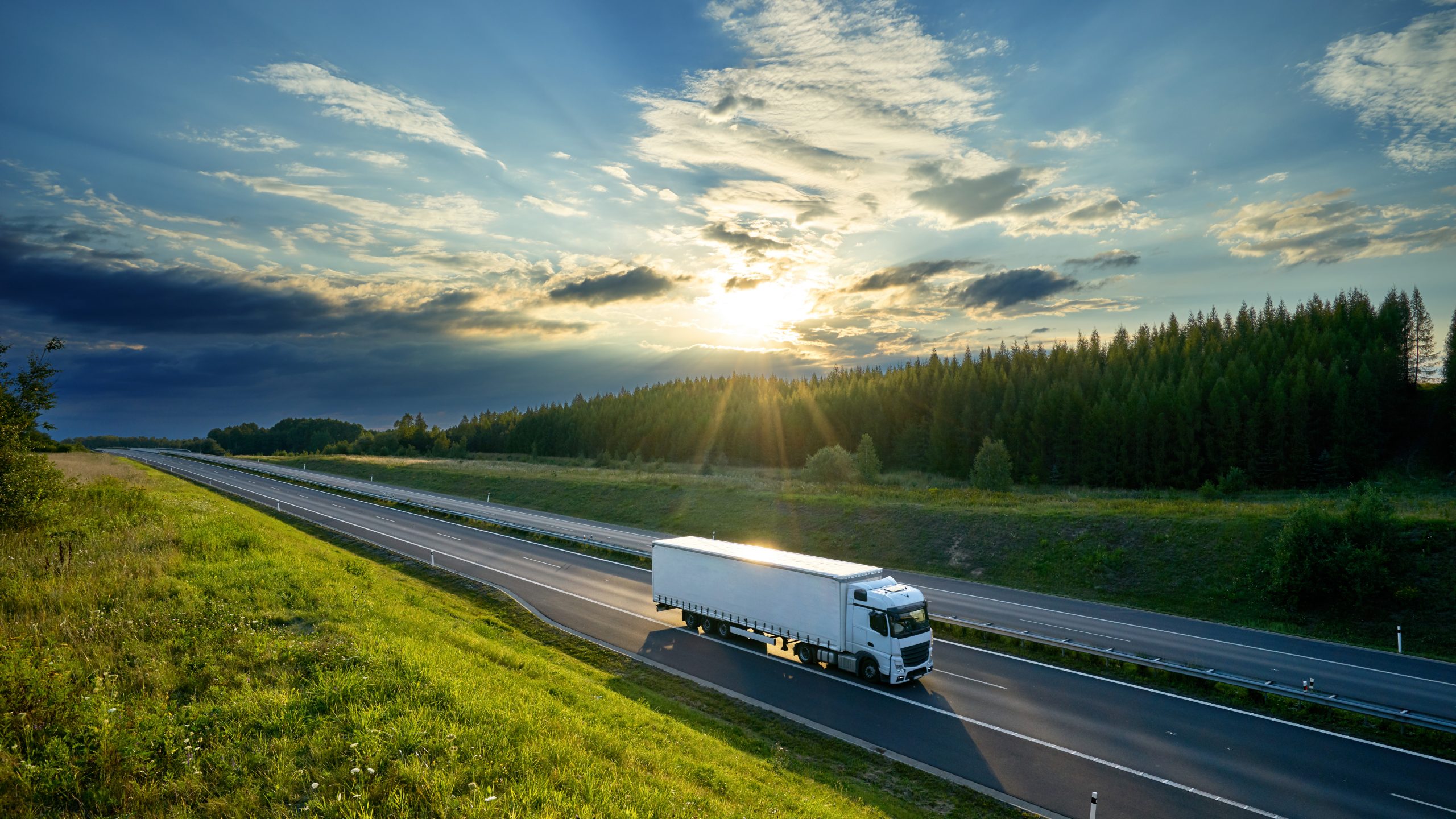 Carbon neutral shipping